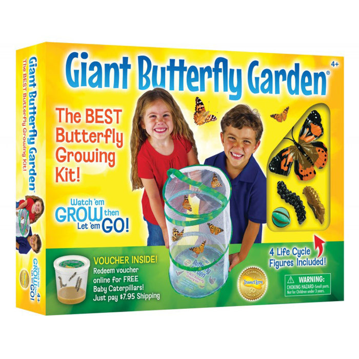 Insect Lore ILP01070 Giant Butterfly Garden Deluxe Growing Kit
