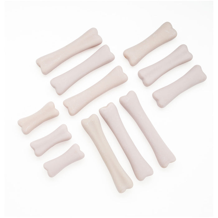 Yellow Door YUS1038 Dinosaur Bones Discovery Set, Pack of 12
