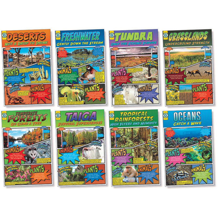 North Star Teacher Resources NST3079 Biomes Bulletin Board Set