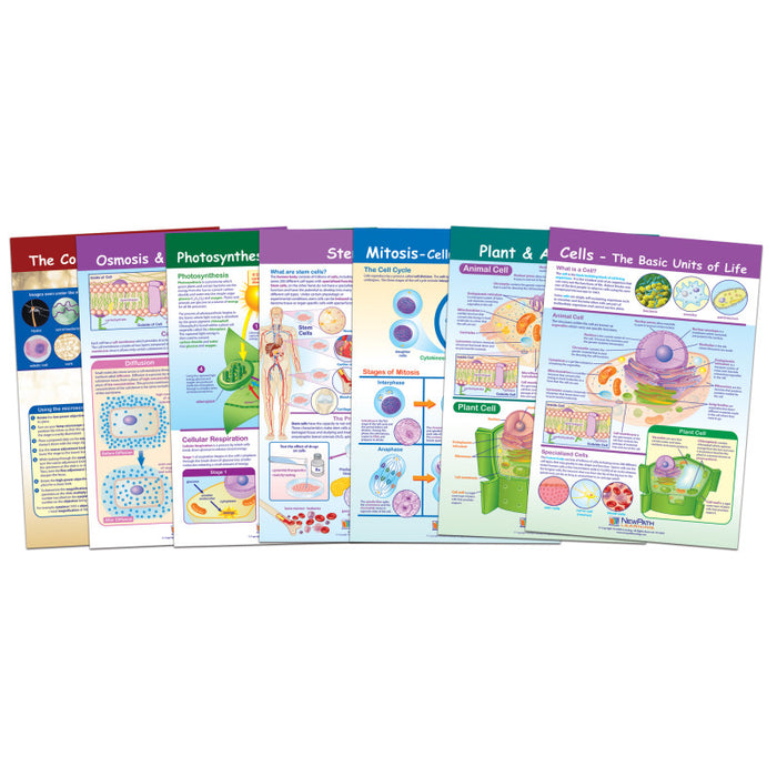 NewPath Learning NP-947001 Cells Bulletin Board Chart Set, Grades 3-5