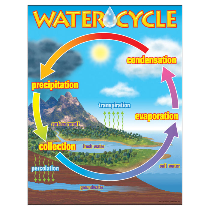 TREND T-38119 The Water Cycle Learning Chart, 17" x 22"