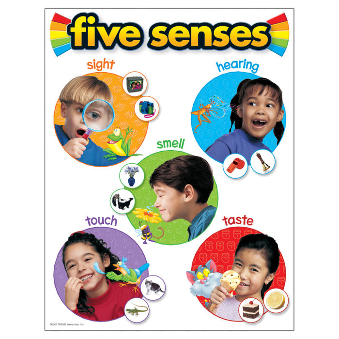 TREND T-38051 Five Senses Learning Chart, 17" x 22"