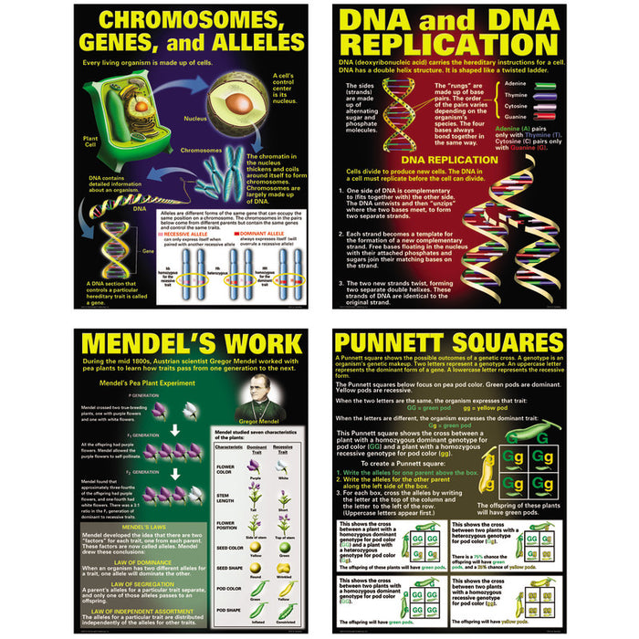 McDonald Publishing MC-P128 DNA & Heredity Posters, Set of 4