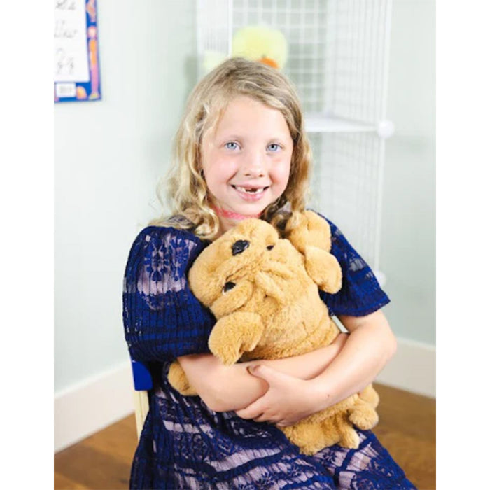 Bouncyband BBALPBD Happy Hugs Sensory Weighted Plush Bulldog