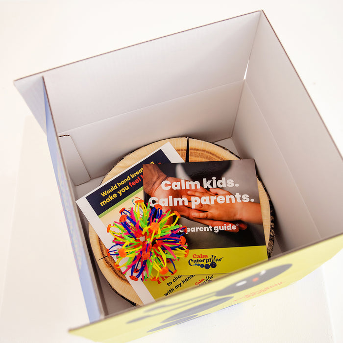 The Calm Caterpillar CCJ1030040101 Calm Corner Kit for Kids