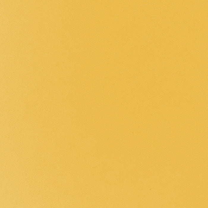 Carson Dellosa Education CD-108531 Rolled Scalloped Bulletin Board Border, Goldenrod, 65 Feet