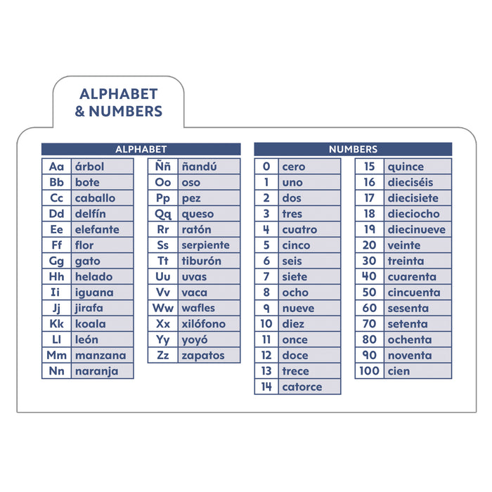 Carson Dellosa Education CD-734109 Spanish Flash Cards