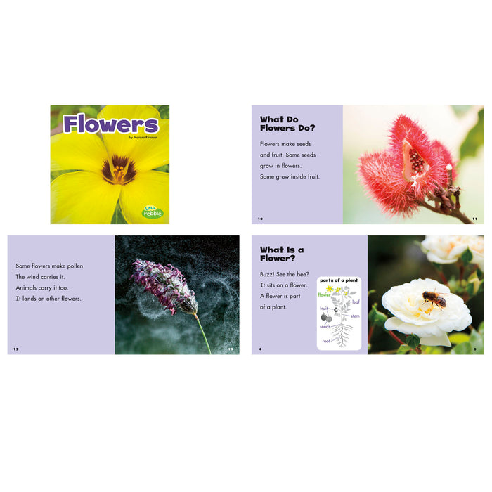 Little Pebble CPB9781977111043 Plant Parts, Set of 6 books