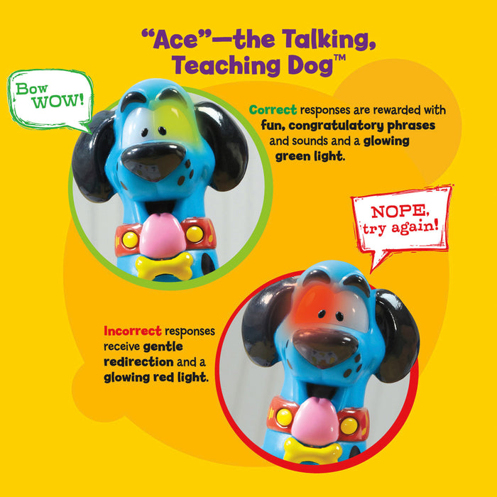 Educational Insights EI-2373 Hot Dots Jr. Let's Master Kindergarten Math