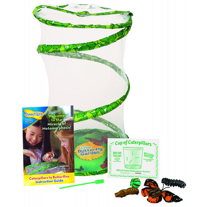 Insect Lore ILP01070 Giant Butterfly Garden Deluxe Growing Kit
