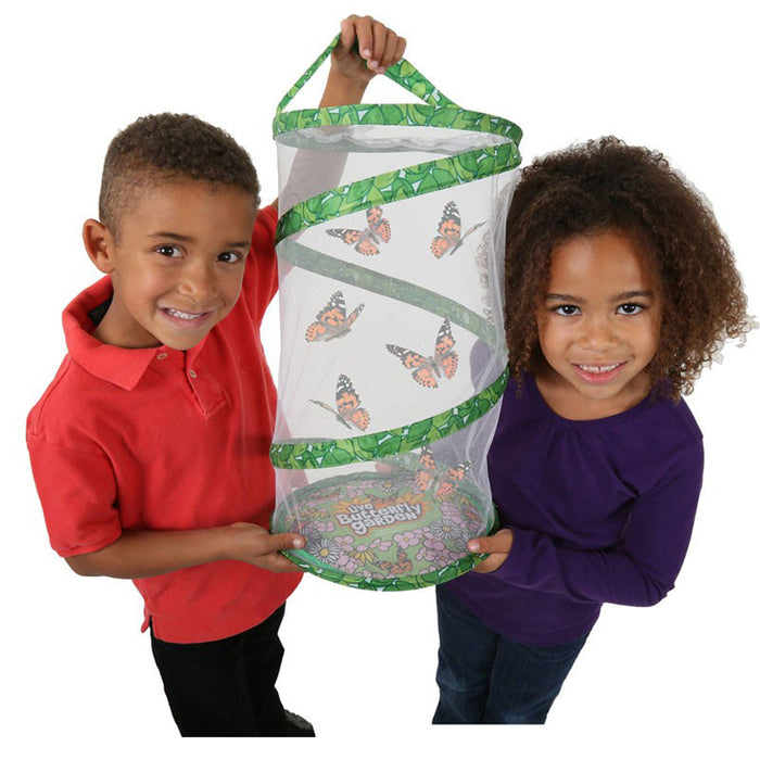 Insect Lore ILP01070 Giant Butterfly Garden Deluxe Growing Kit