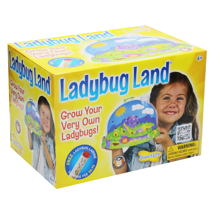 Insect Lore ILP2100 Ladybug Land&trade; Growing Kit