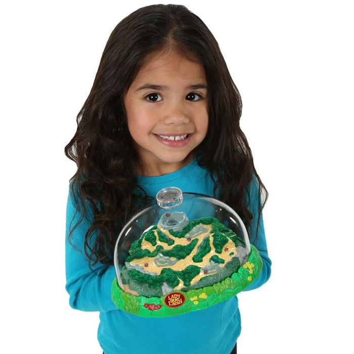Insect Lore ILP2100 Ladybug Land&trade; Growing Kit