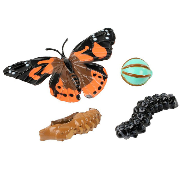 Insect Lore ILP4760 Butterfly Life Cycle Stages