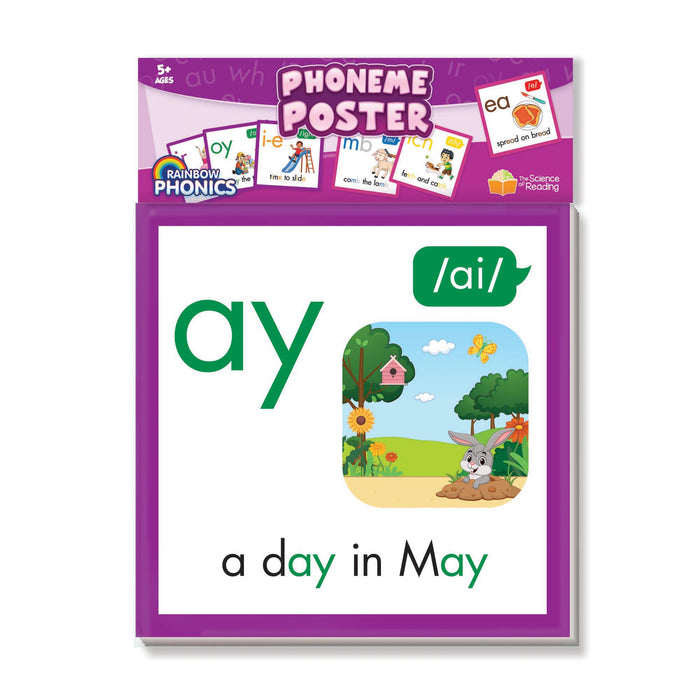 Junior Learning JRLRP114 Rainbow Phonics Phoneme Poster