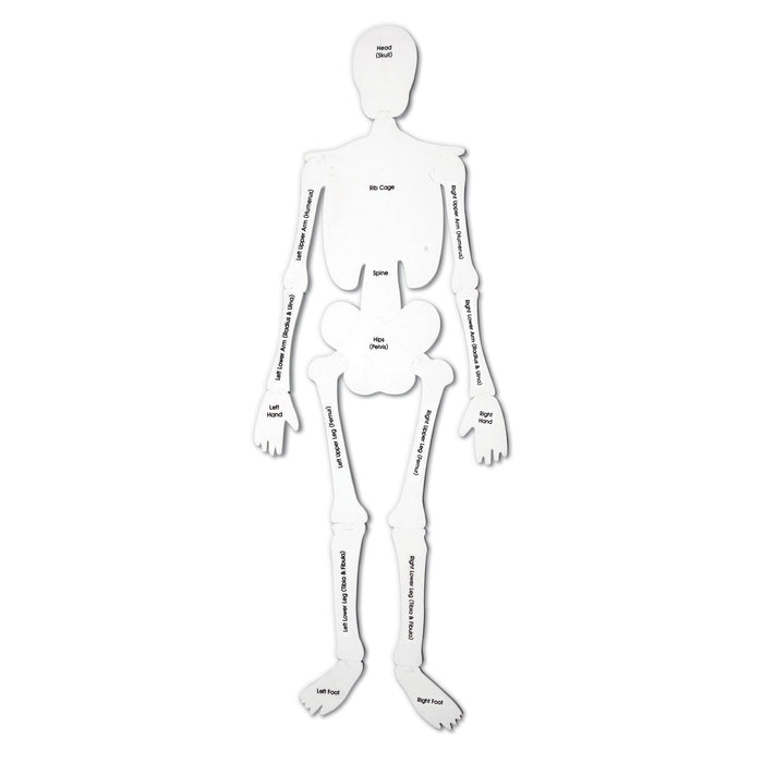 Learning Resources LER3332 Skeleton Foam Floor Puzzle