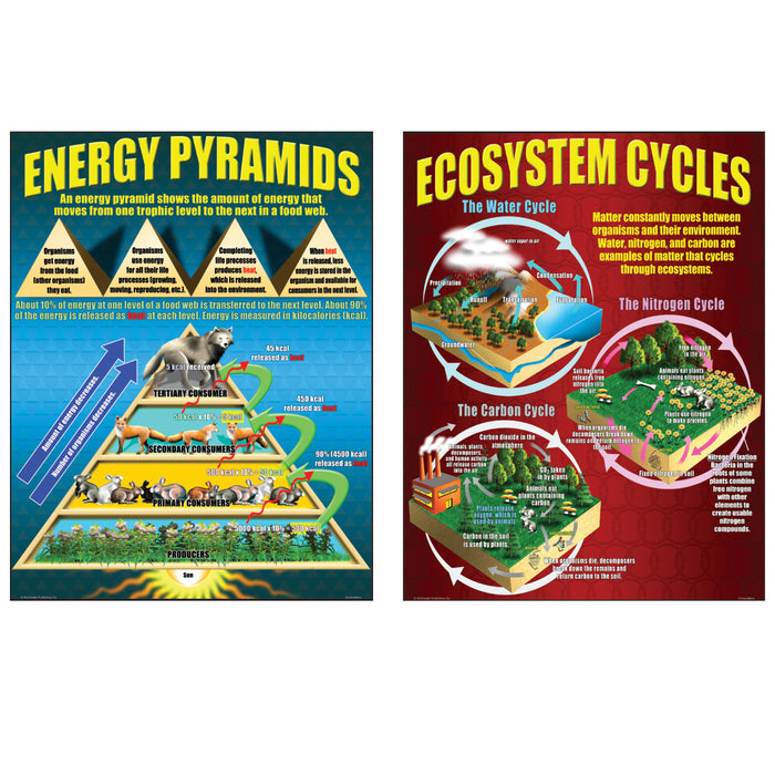 McDonald Publishing MC-P059 Ecosystems Posters, Set of 4