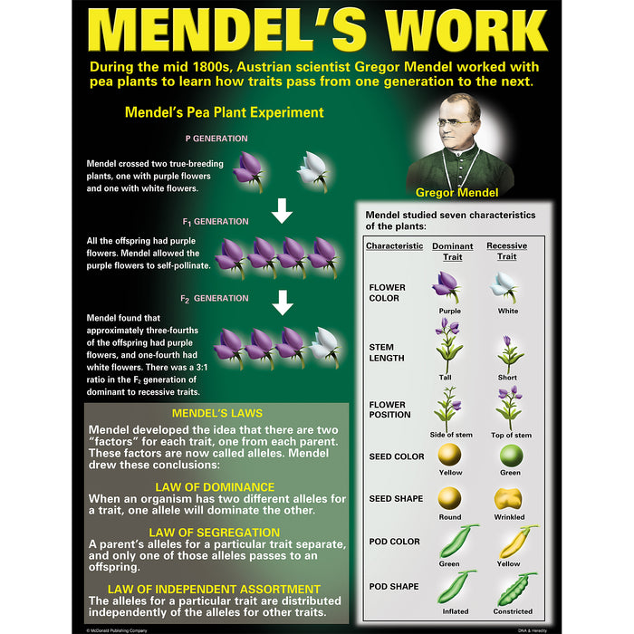 McDonald Publishing MC-P128 DNA & Heredity Posters, Set of 4