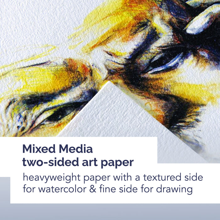 Canson MCXC100516250 Artist Series Mixed Media Sheet Bulk Pack, 100 Sheet, 9x12 inch, 1 Count