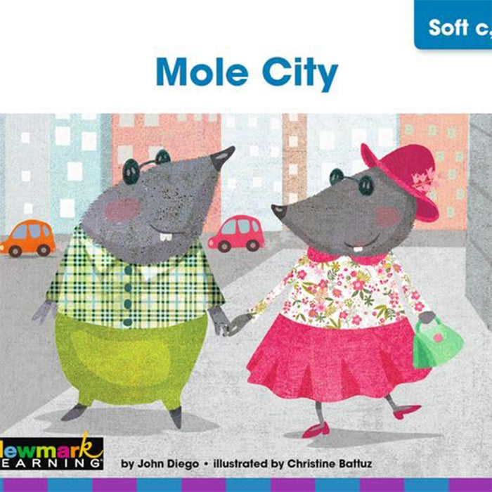 Newmark Learning NL-6834 Decodable Readers Grade 1 Long Vowels, 24 Books