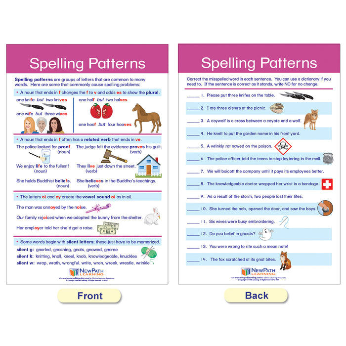 NewPath Learning NP-923501 Spelling Rules Bulletin Board Chart Set - Set of 7