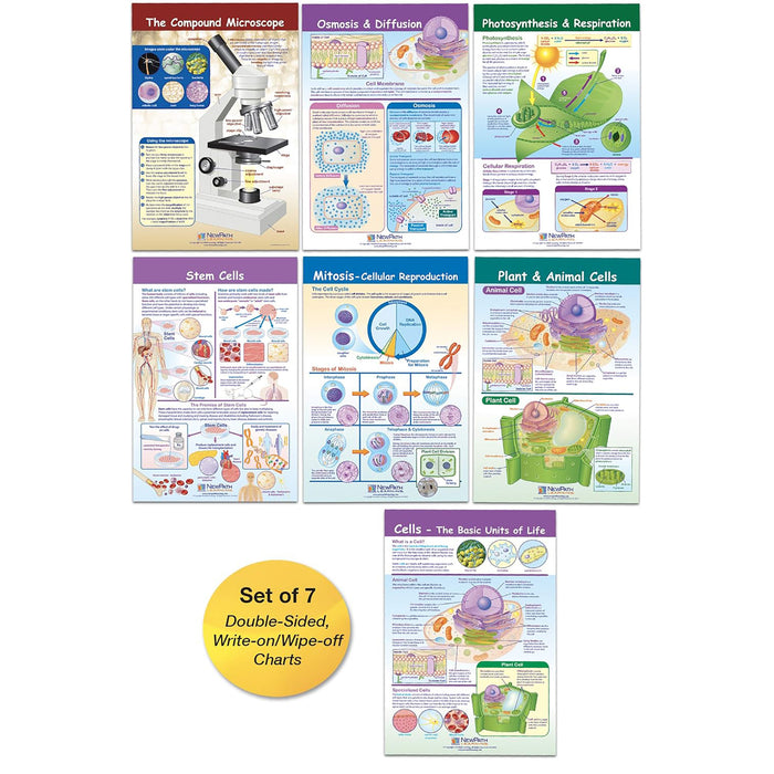 NewPath Learning NP-947001 Cells Bulletin Board Chart Set, Grades 3-5