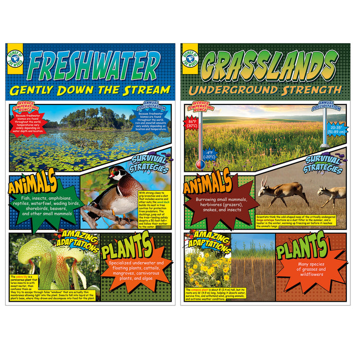 North Star Teacher Resources NST3079 Biomes Bulletin Board Set