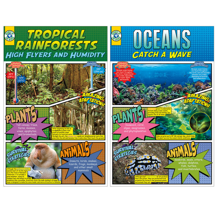 North Star Teacher Resources NST3079 Biomes Bulletin Board Set
