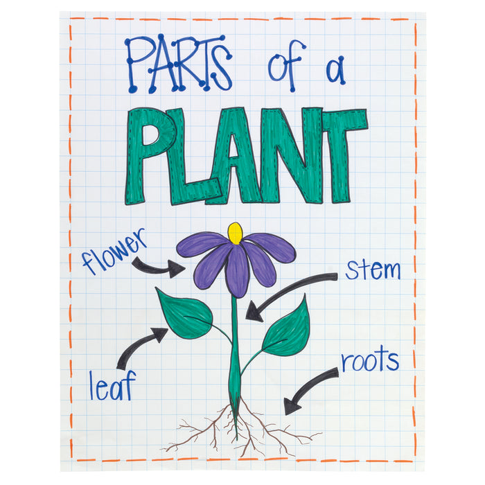 Pacon PAC3373 Heavy Duty Anchor Chart Paper, Non-Adhesive, White, 1" Grid Ruled 24" x 32", 25 Sheets