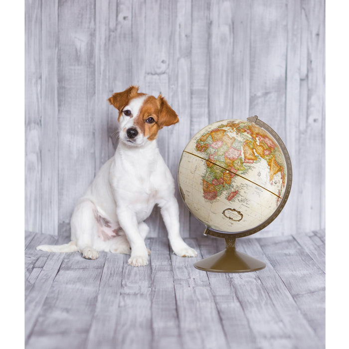 Replogle Globes RE-31501 Franklin Globe