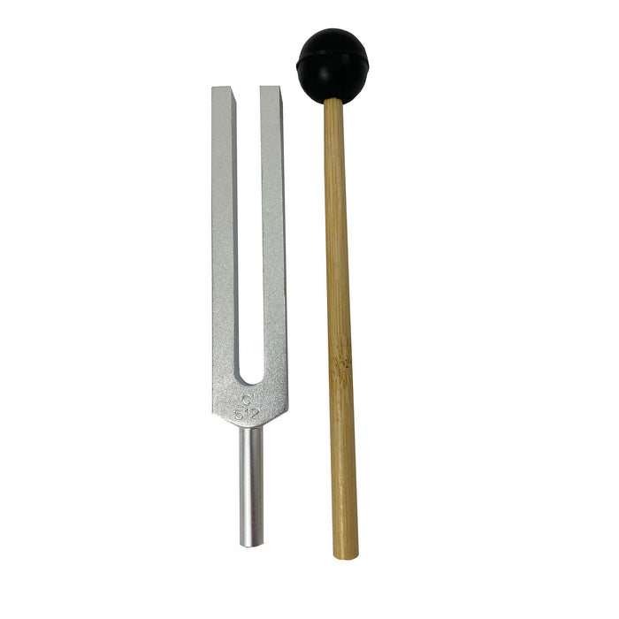 Supertek SKFPH3612110SET Tuning Fork and Striker