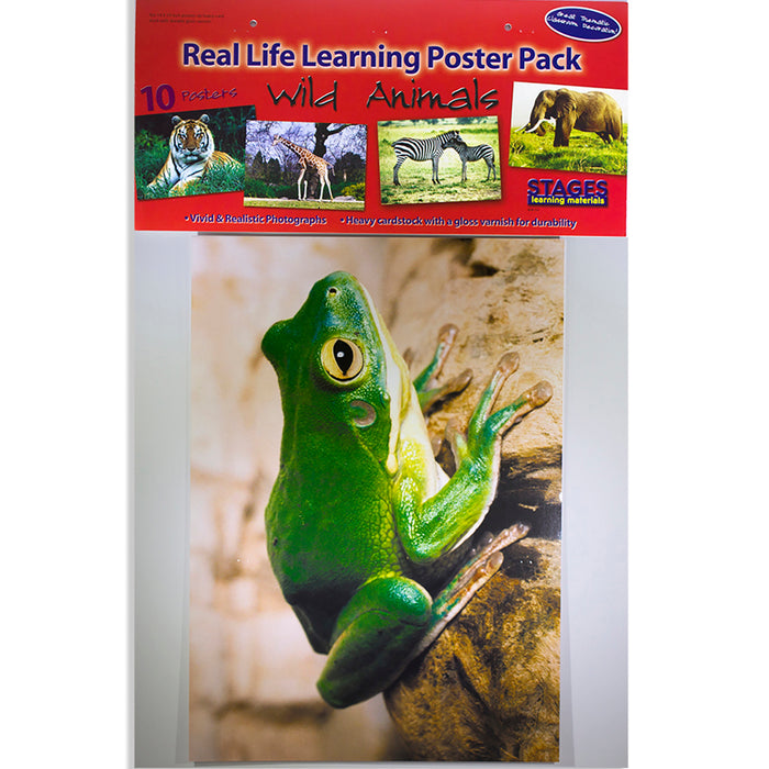 Stages Learning Materials SLM151 Wild Animals Poster Set, Set of 10