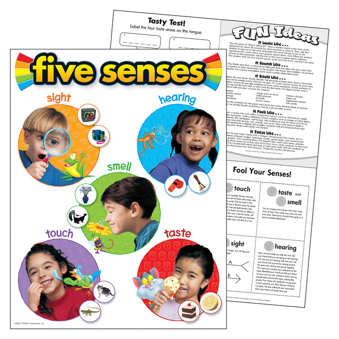 TREND T-38051 Five Senses Learning Chart, 17" x 22"