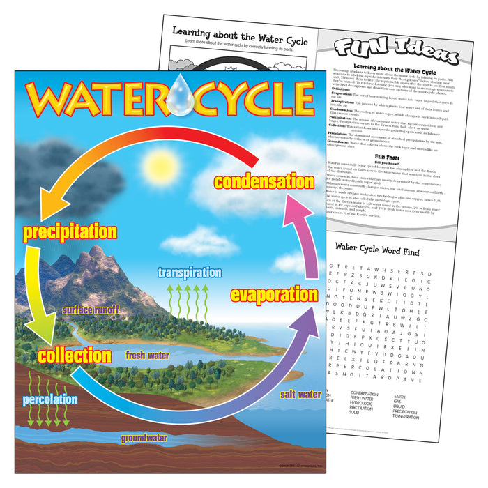 TREND T-38119 The Water Cycle Learning Chart, 17" x 22"