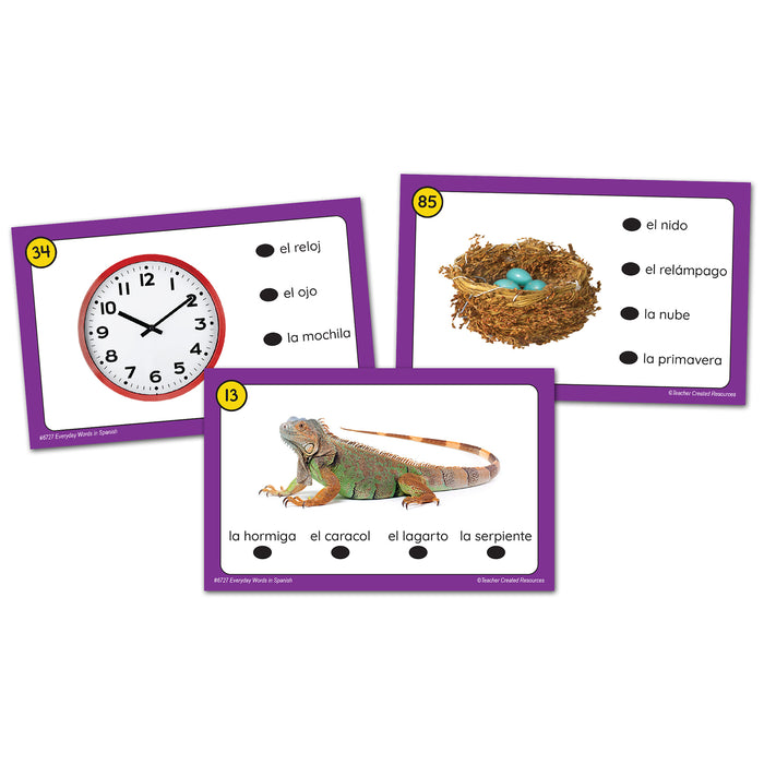 Teacher Created Resources TCR6727 Power Pen Learning Cards: Everyday Words in Spanish