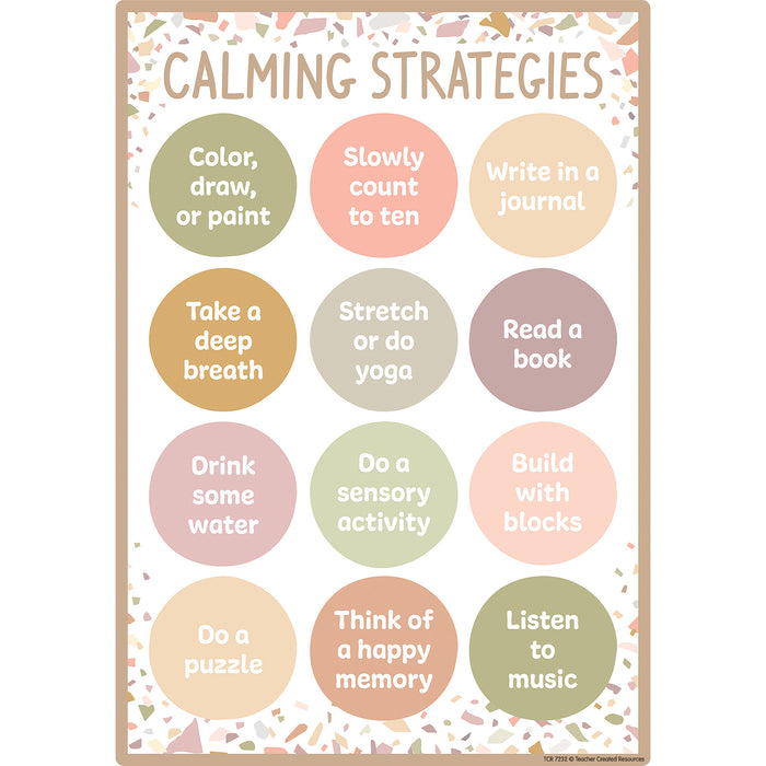 Teacher Created Resources TCR7232 Terrazzo Tones Positive Practices Small Poster Pack, Pack of 12