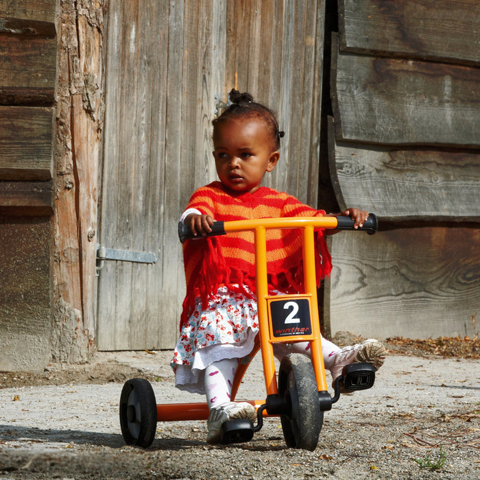 Winther WIN550 Circleline Tricycle, Small