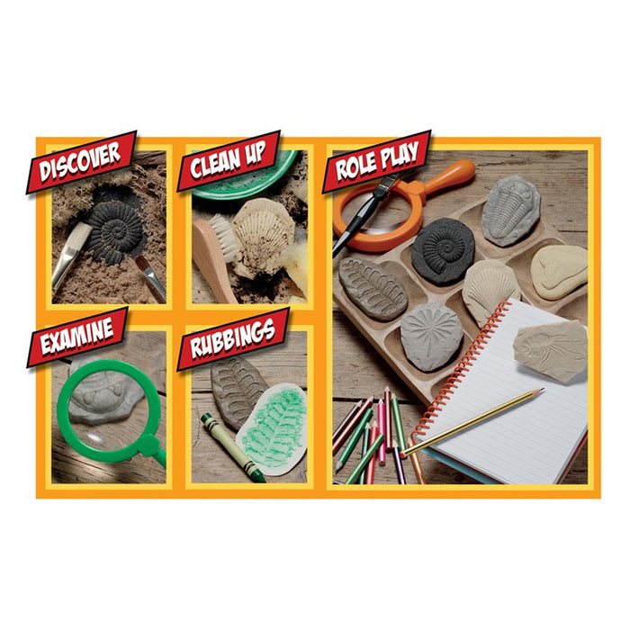 Yellow Door YUS1041 Let's Investigate Fossil Stone, Pack of 8