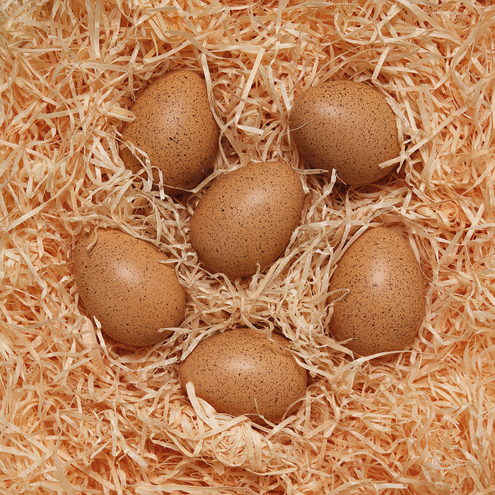 Yellow Door YUS1087 Sensory Sound Eggs