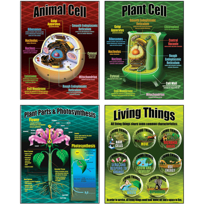 McDonald Publishing MC-P077 Life Science Posters, Set of 4