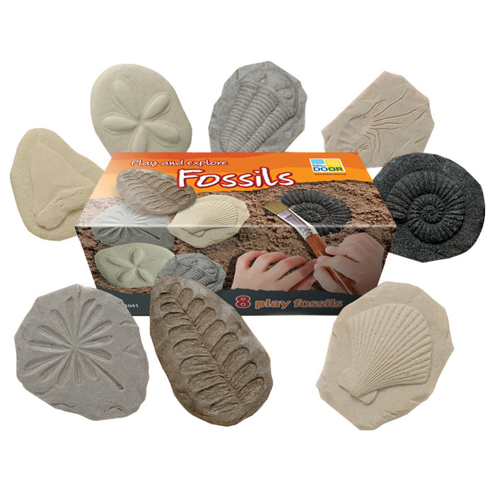 Yellow Door YUS1041 Let's Investigate Fossil Stone, Pack of 8