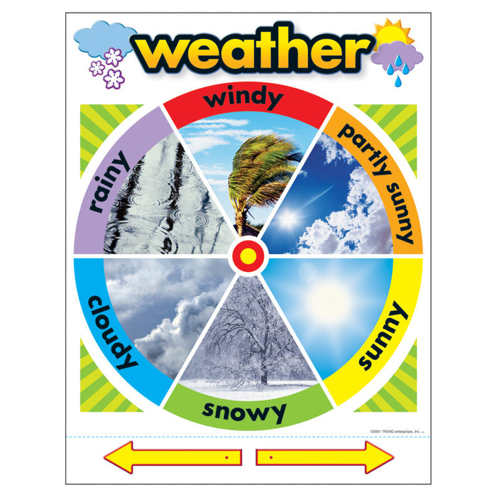TREND T-38046 Weather Learning Chart, 17" x 22"