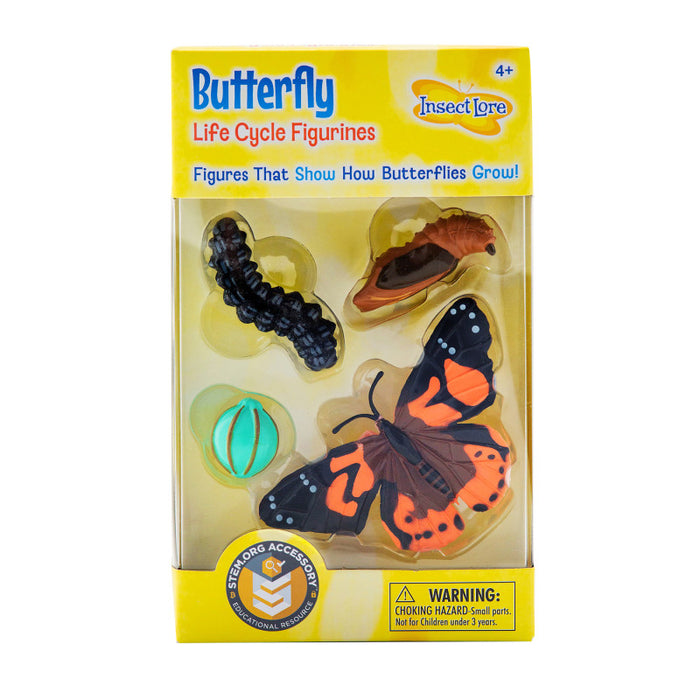 Insect Lore ILP4760 Butterfly Life Cycle Stages