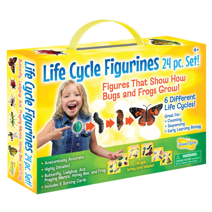 Insect Lore ILP2205 Life Cycle Figurines Set, 24 Pieces